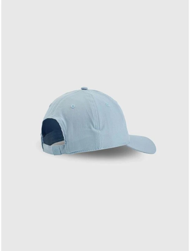 Unisex stiliaus „strapback“ kepuraitė 4F 4FRSS26ACABU590-10S