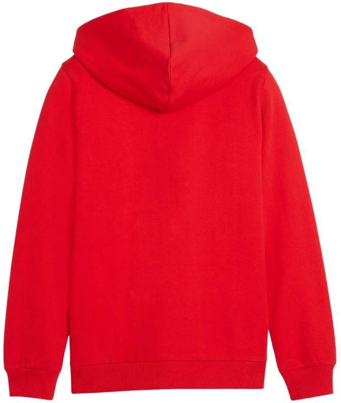 Vaikiškas Puma teamGoal Casuals džemperis su gobtuvu, raudonas 658596 01