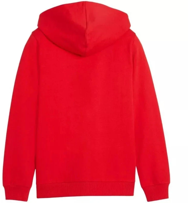 Vaikiškas Puma teamGoal Casuals džemperis su gobtuvu, raudonas 658596 01