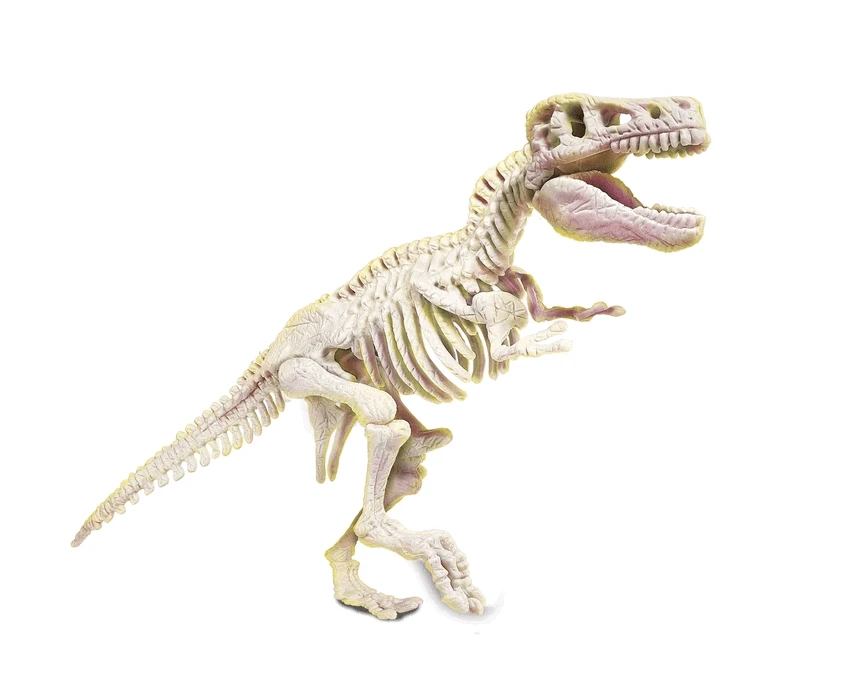 Clementoni Kasinėjimo rinkinys T-Rex