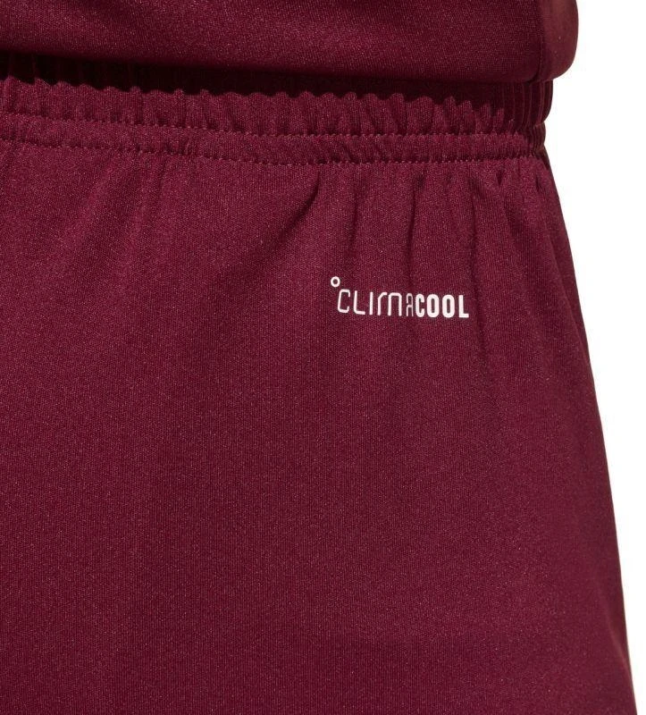 Vaikiški bordo spalvos šortai Entrada 26 JZ6527 adidas