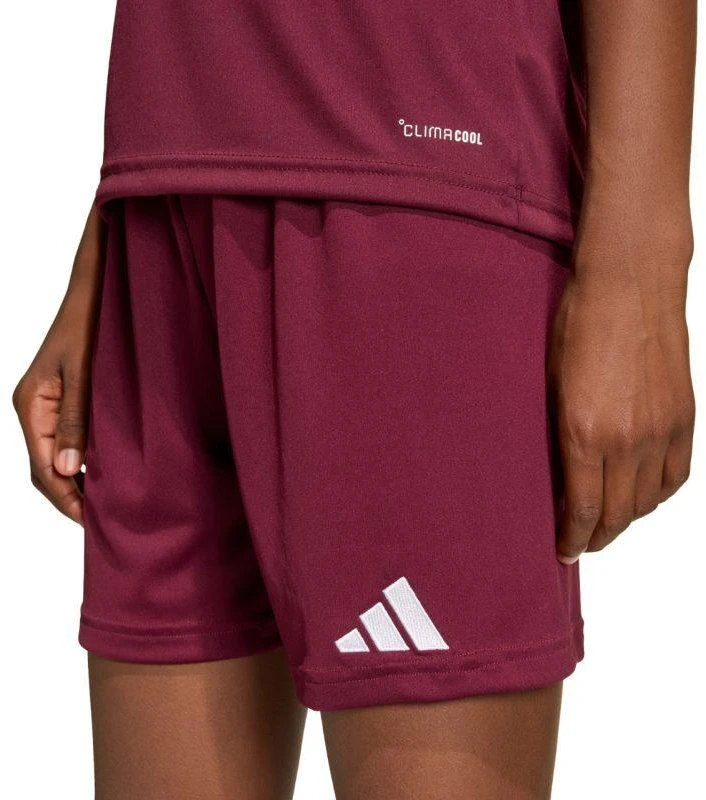 Vaikiški bordo spalvos šortai Entrada 26 JZ6527 adidas