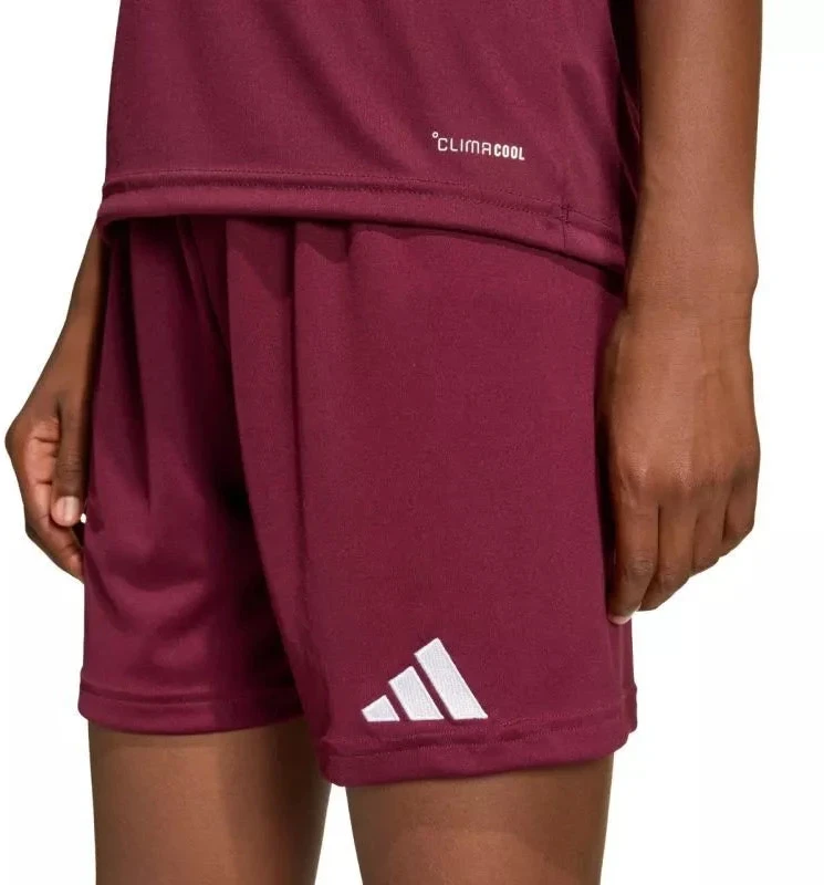 Vaikiški bordo spalvos šortai Entrada 26 JZ6527 adidas