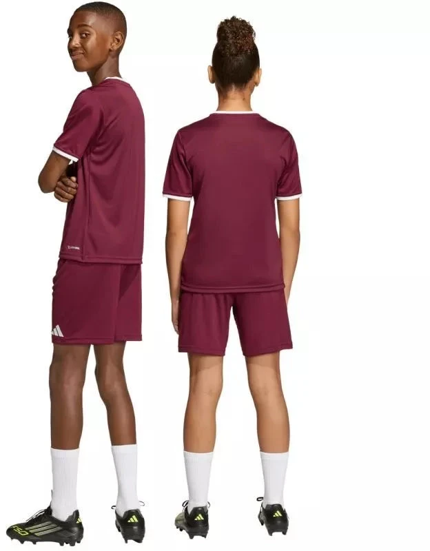 Vaikiški bordo spalvos šortai Entrada 26 JZ6527 adidas