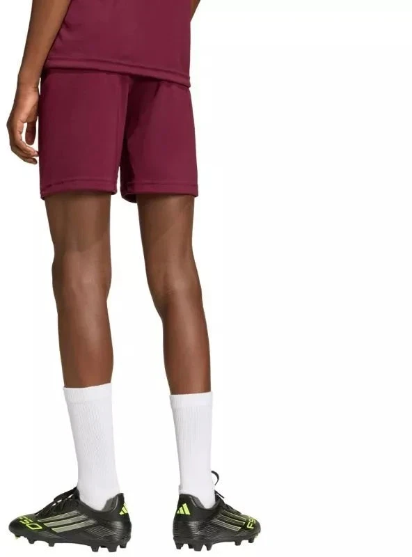 Vaikiški bordo spalvos šortai Entrada 26 JZ6527 adidas