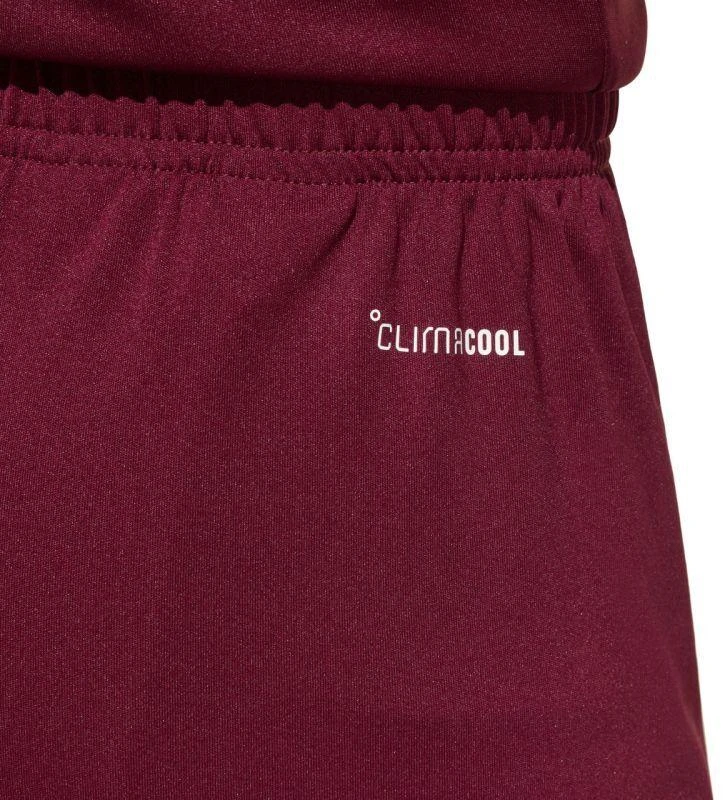 Vaikiški bordo spalvos šortai Entrada 26 JZ6527 adidas