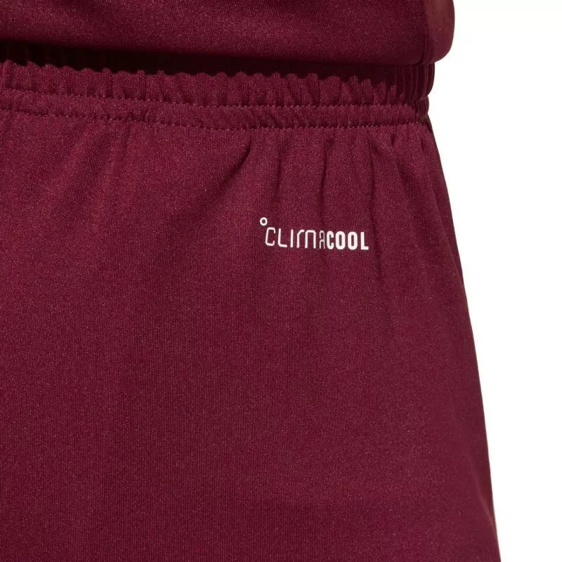 Vaikiški bordo spalvos šortai Entrada 26 JZ6527 adidas