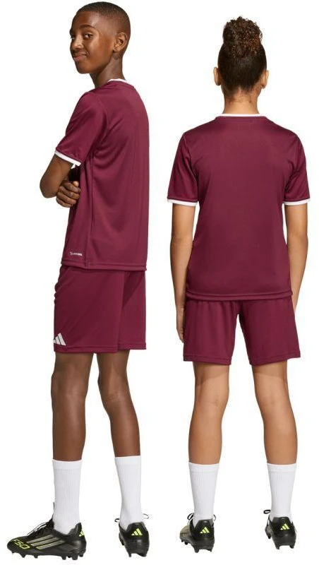 Vaikiški bordo spalvos šortai Entrada 26 JZ6527 adidas