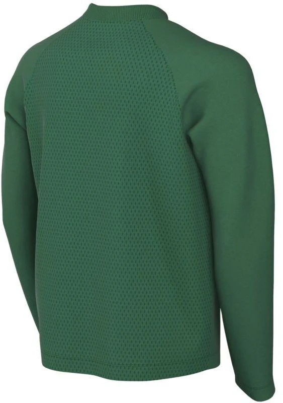 Vaikiški ilgomis rankovėmis marškinėliai Nike Dri-Fit Park VIII, žali, HV8239 302
