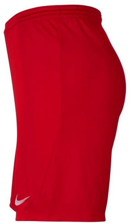 Vaikiški „Nike Park III Knit Jr BV6865-657“ šortai