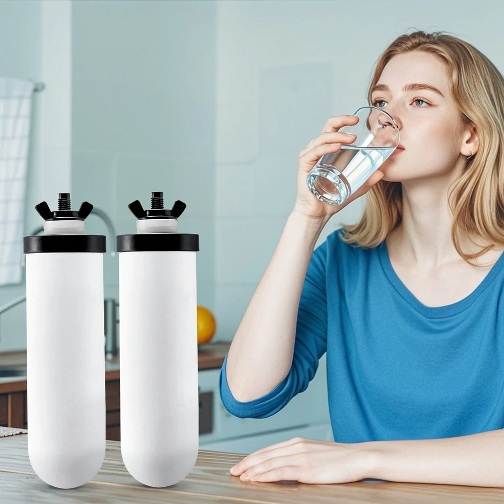 VEVOR vandens filtrų keitimo elementai, keramikos filtrai