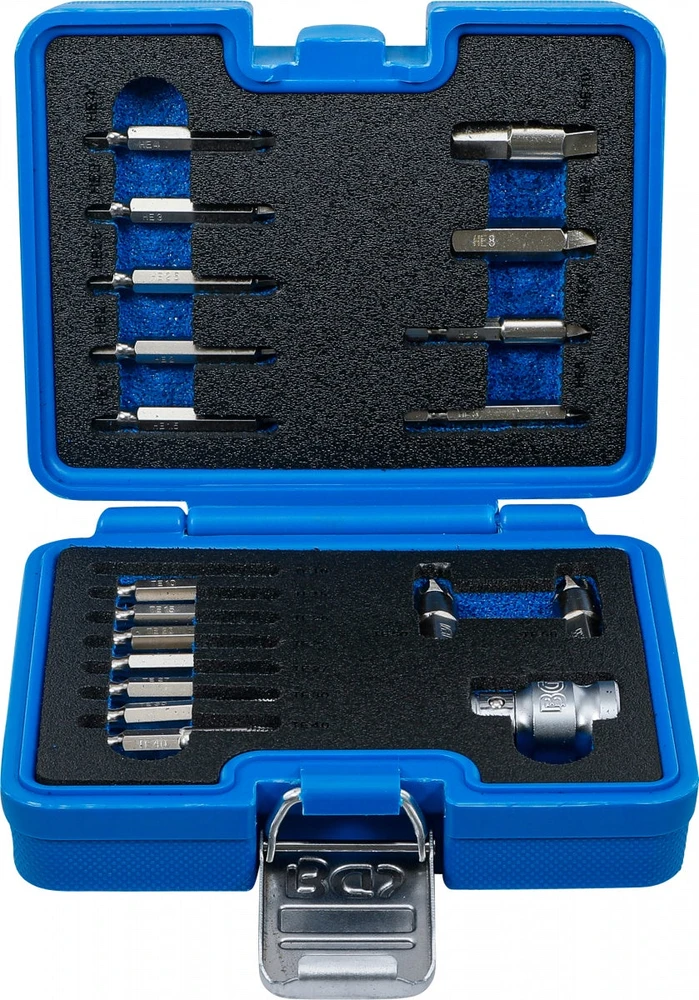 VARŽTŲ IŠTRAUKIMO RINKINYS | VIDINIAM ŠEŠIAKAMPIUI 1,5–10 MM / T-STAR (TORX) | T10–T55 | 19 VNT. (9173-1)
