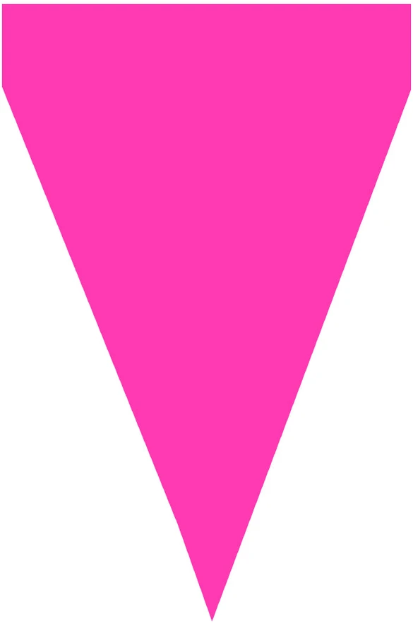 Vėliavėlių girlianda su fuksijos spalvos vėliavėlėmis – Šventinė dekoracija