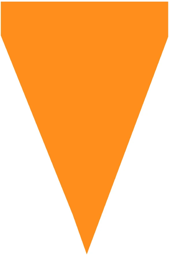 Vėliavėlių girlianda su oranžinėmis vėliavėlėmis – Šventės dekoracija