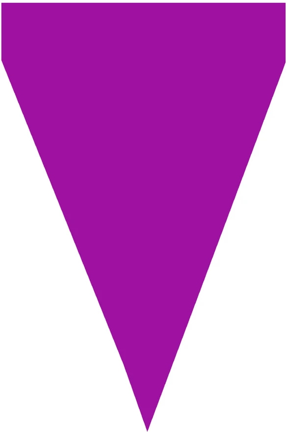 Vėliavėlių girlianda su violetinėmis vėliavėlėmis – Šventinė dekoracija