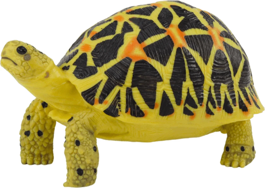 Lean Toys Kolekcinė Vėžliuko Figūrėlė Geltona Juoda
