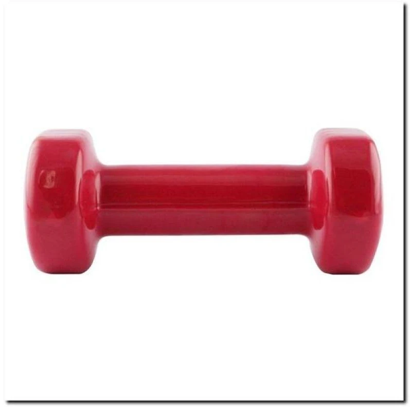Hantelis dengtas vinilu 2.0 kg