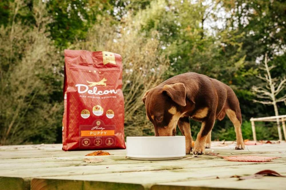 Delcon Visavertis pašaras mažiems šuniukams PUPPY, didelių veislių šunims / 12 kg