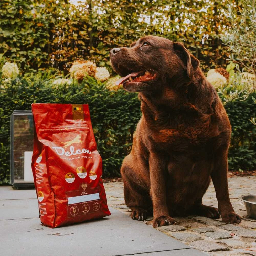 Visavertis pašaras suaugusiems šunims, turintiems padidėjusį svorį LIGHT / 3kg