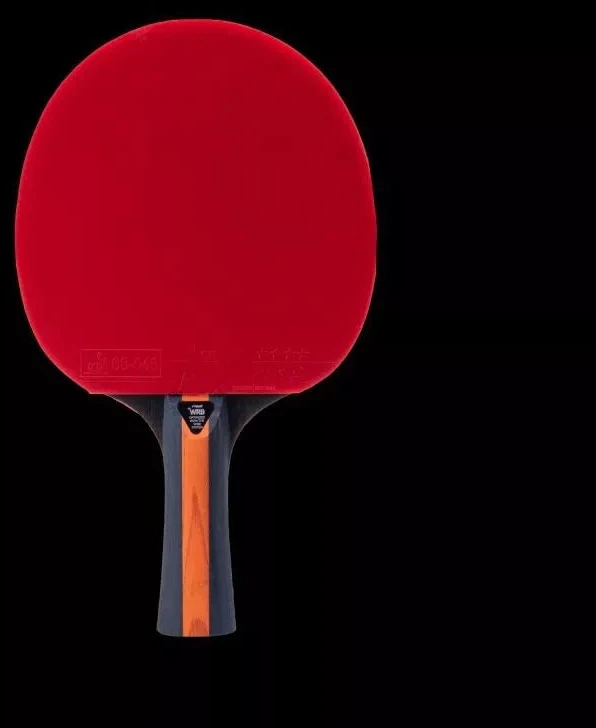VISION 4 ŽVAIGŽDŽIŲ raketa