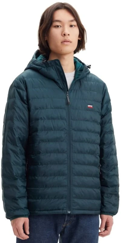 Vyriška laisvo kirpimo striukė su gobtuvu Levi's Presidio Packable, žalia
