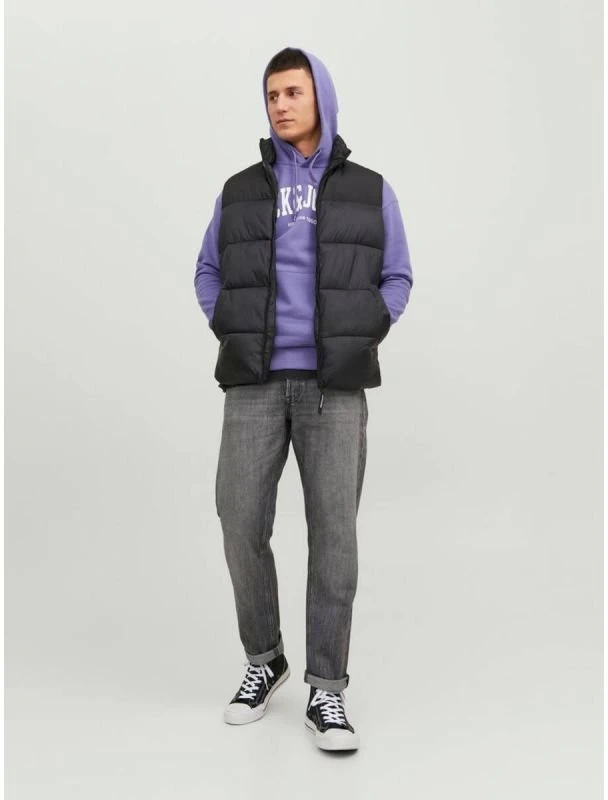 Vyriška pašiltinta liemenė su stačia apykakle Jack & Jones Jjetoby