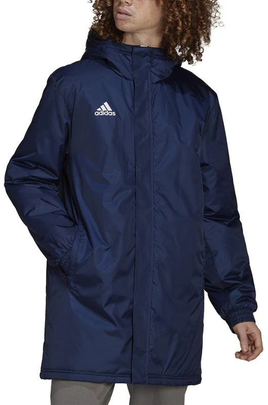 Vyriška stadiono striukė Adidas Entrada 22 M HG6301
