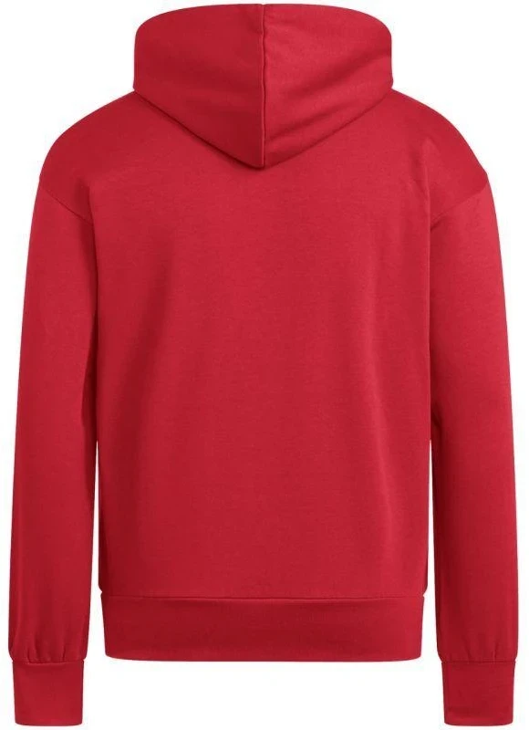 Vyriškas adidas Essentials Feelcozy džemperis su gobtuvu raudonas KC0907