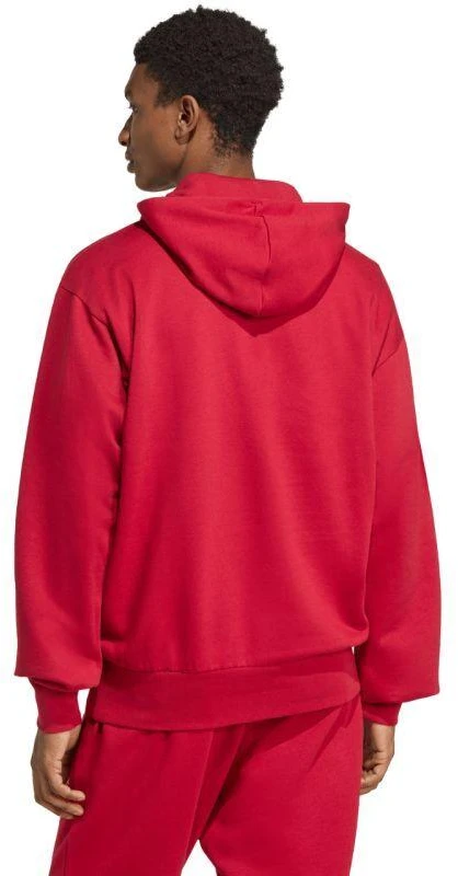 Vyriškas adidas Essentials Feelcozy džemperis su gobtuvu raudonas KC0907