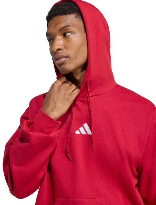 Vyriškas adidas Essentials Feelcozy džemperis su gobtuvu raudonas KC0907