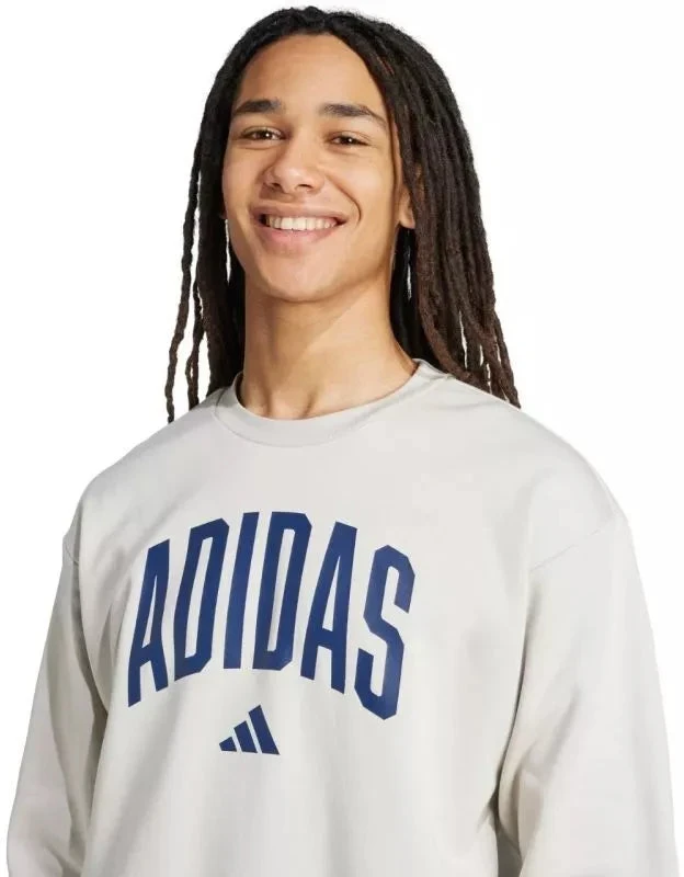 Vyriškas adidas Koleginis džemperis pilkas JM1732