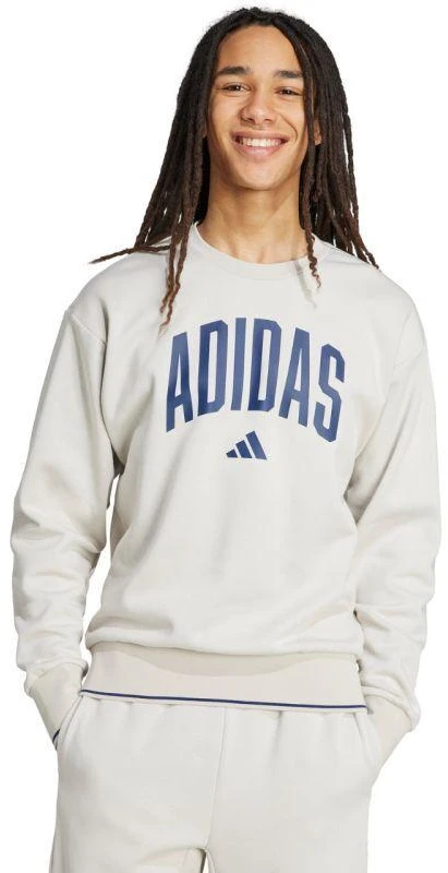Vyriškas adidas Koleginis džemperis pilkas JM1732