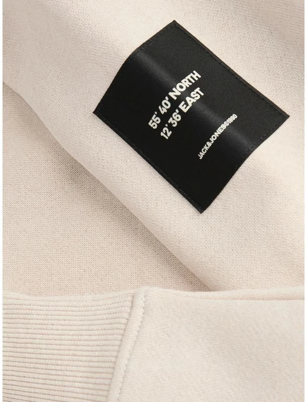 Vyriškas džemperis su gobtuvu Jack&Jones Cleveland, Moonbeam