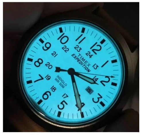 Laikrodis TIMEX EXPEDITION MEN'S WATCH TWC001200 (zt122b)