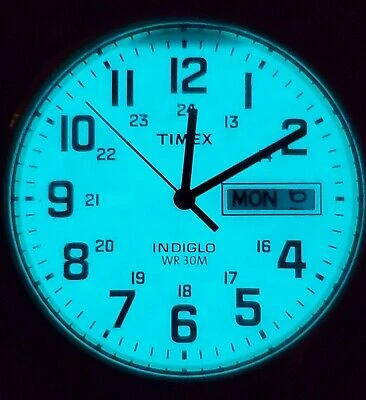 TIMEX South Street Sport vyriškas laikrodis TWG027900 + dėžutė