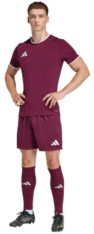 Vyriški „adidas“ Entrada 26 bordo spalvos šortai JZ2514