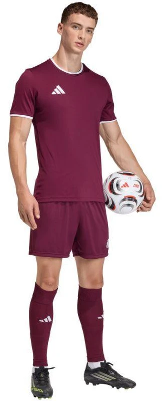 Vyriški „adidas“ Entrada 26 bordo spalvos šortai JZ2514