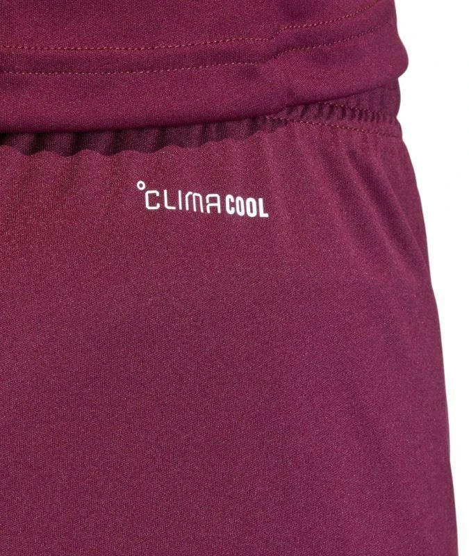 Vyriški „adidas“ Entrada 26 bordo spalvos šortai JZ2514