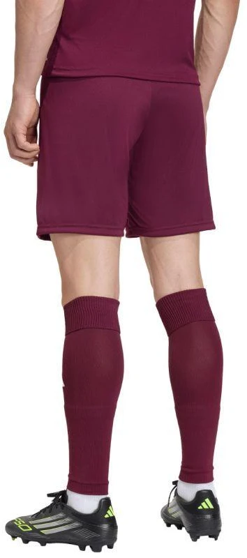 Vyriški „adidas“ Entrada 26 bordo spalvos šortai JZ2514