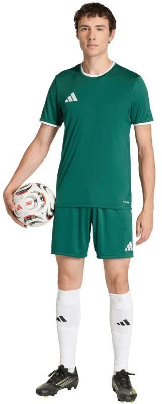 Vyriški adidas Entrada 26 Džersis žalias KE9832