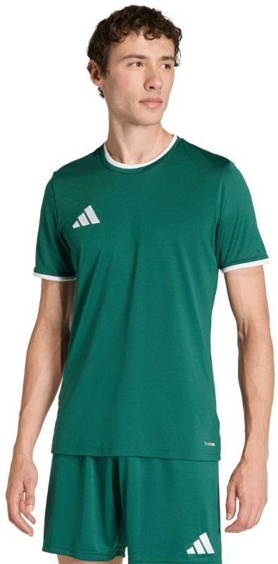 Vyriški adidas Entrada 26 Džersis žalias KE9832