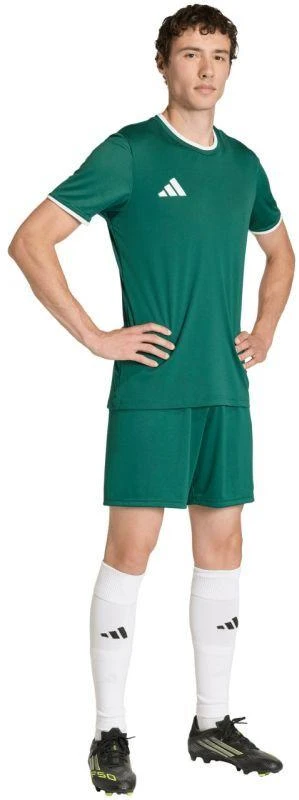 Vyriški adidas Entrada 26 Džersis žalias KE9832