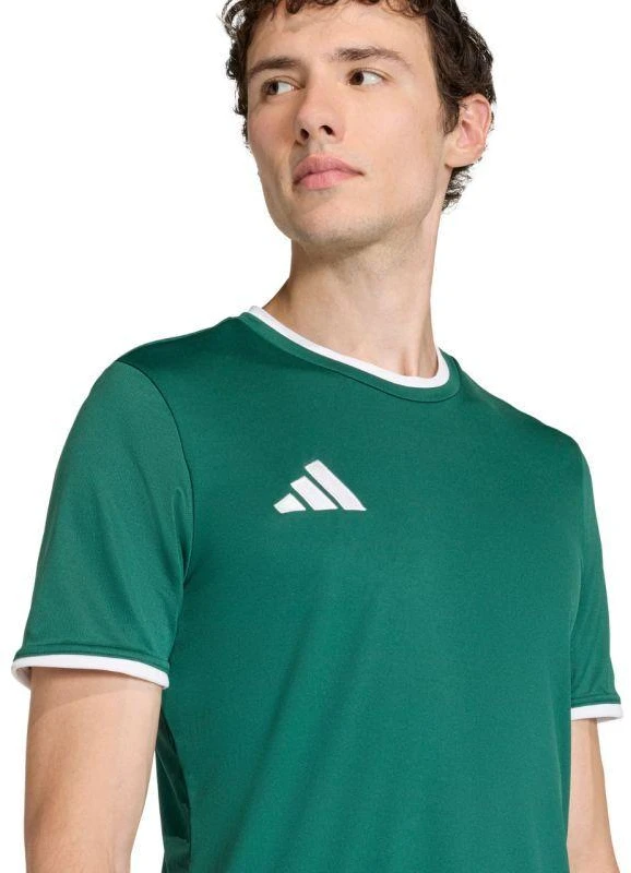 Vyriški adidas Entrada 26 Džersis žalias KE9832