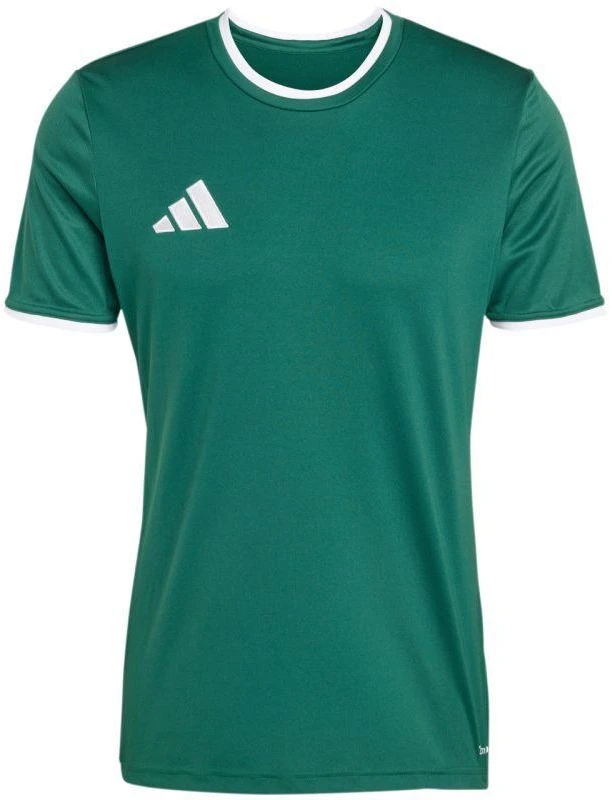 Vyriški adidas Entrada 26 Džersis žalias KE9832
