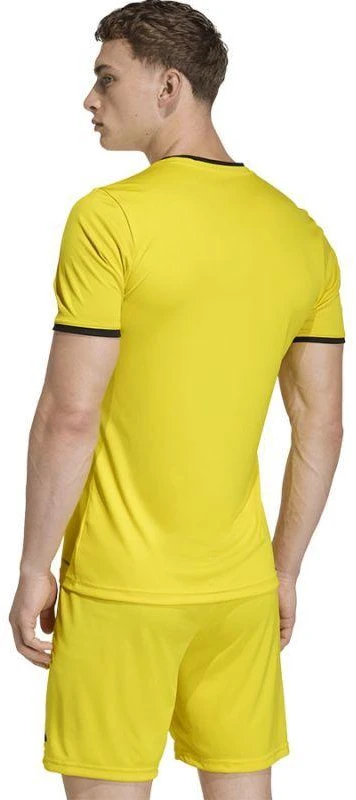 Vyriški adidas Entrada 26 marškinėliai geltoni JZ2502