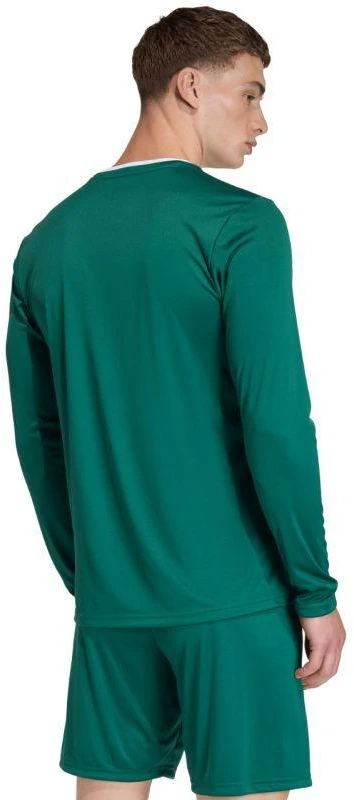 Vyriški adidas Entrada 26 marškinėliai ilgomis rankovėmis žali KF5846