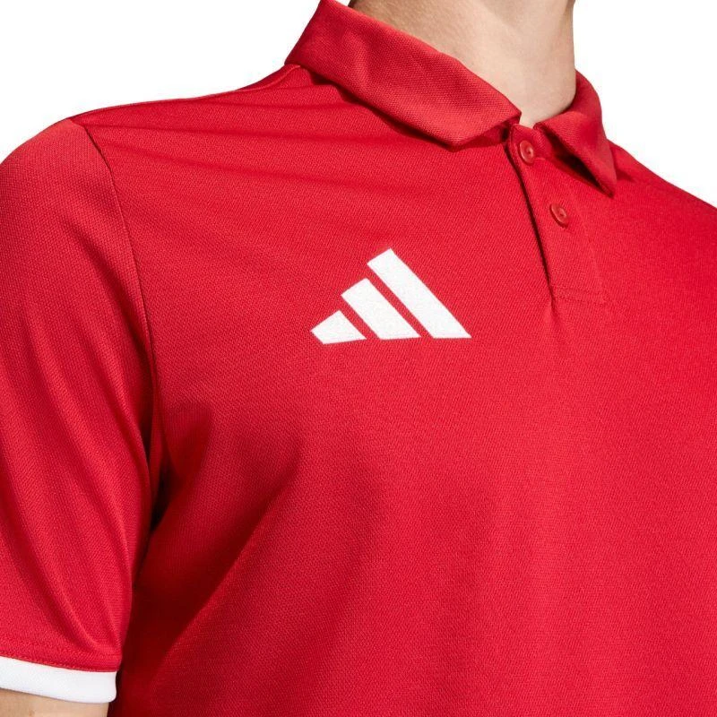 Vyriški adidas Entrada 26 Polo marškinėliai raudoni JZ6664