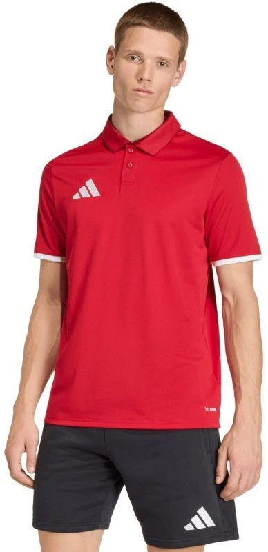 Vyriški adidas Entrada 26 Polo marškinėliai raudoni JZ6664