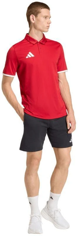 Vyriški adidas Entrada 26 Polo marškinėliai raudoni JZ6664