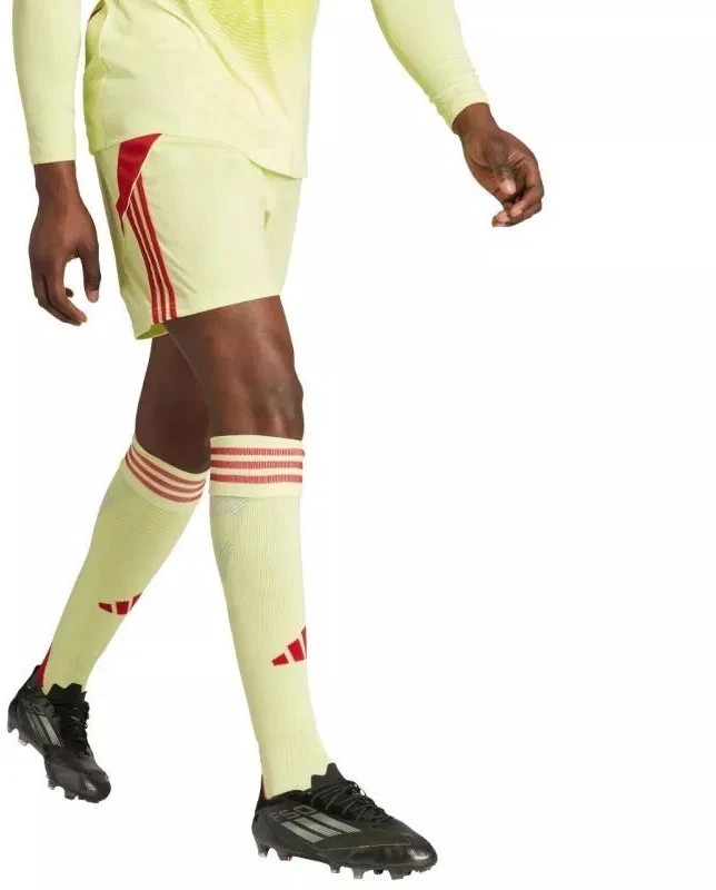 Vyriški adidas Tiro 24 šortai geltoni ir raudoni JI6090